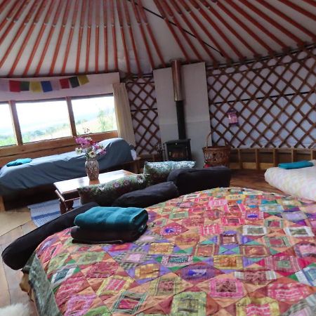 Fire Yurt Otel Machynlleth Dış mekan fotoğraf