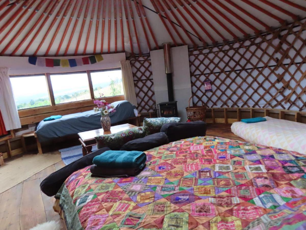 Fire Yurt Otel Machynlleth Dış mekan fotoğraf