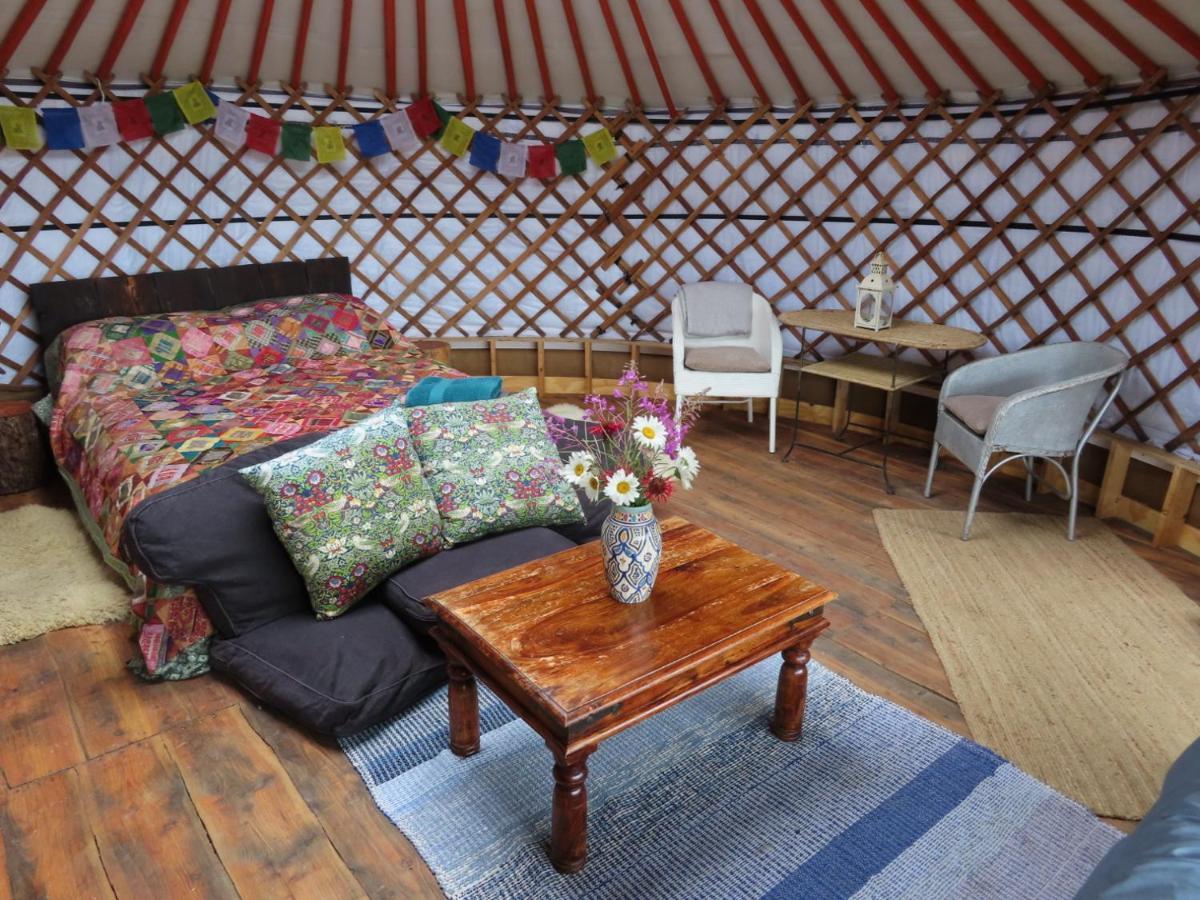 Fire Yurt Otel Machynlleth Dış mekan fotoğraf