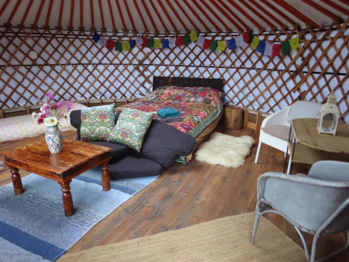 Fire Yurt Otel Machynlleth Dış mekan fotoğraf